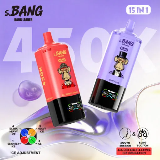 Bang Leader 450Kパフ 15-in-1 使い捨てベイプ メイン画像 - 450,000パフ マルチフレーバー 充電式ベイプ