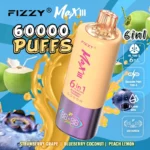 Fizzy Max 60K Strawberry Grape Blueberry Coconut Peach Lemon Flavor Combo