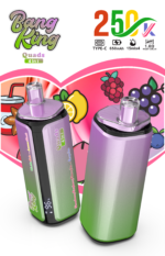 Bang King 250,000パフ 4-in-1 レモン・ライム・ストロベリー・アイス・ラズベリー・スイカ・フィジー・チェリーフレーバー - 100vaping