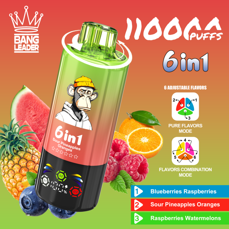 Bang Leader 110Kパフ 6-in-1 ブルーベリー、ラズベリー、サワーパイナップル、オレンジ、ラズベリー、スイカのフレーバー - 100vaping