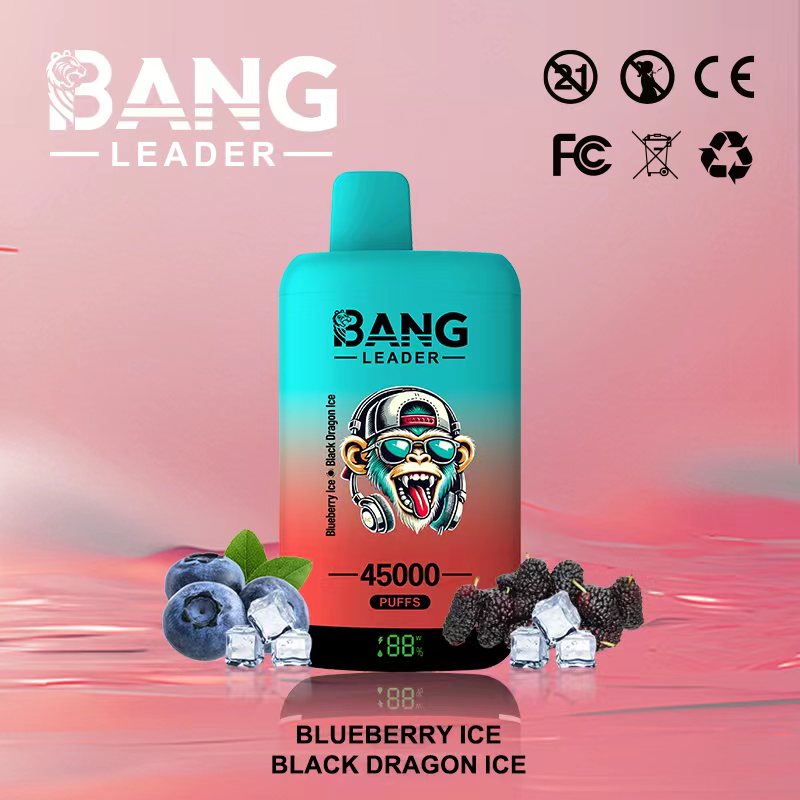 Bang Leader 45Kパフ ブルーベリーアイス・ブラックドラゴンアイスフレーバー 使い捨てベイプ - 100vaping
