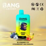Bang Leader 45Kパフ ブルーベリーアイス・ストロベリー・バナナフレーバー 使い捨てベイプ - 100vaping