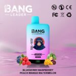 Bang Leader 45Kパフ ブルーベリー・ラズベリー・ピーチ・マンゴー・スイカ風味 使い捨てベイプ - 100vaping