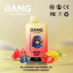 Bang Leader 45Kパフ ブルーベリー・スイカ・イチゴ・マンゴー風味 使い捨てベイプ - 100vaping