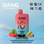 Bang Leader 45Kパフ ストロベリー・スイカ・キウイ・パッションフルーツ・グアバ風味 使い捨てベイプ - 100vaping