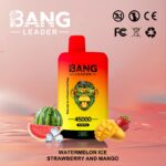 Bang Leader 45Kパフ スイカ・アイス・イチゴ・マンゴー風味 使い捨てベイプ - 100vaping