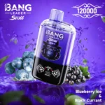 Bang Leader Stoll 120Kパフ ブルーベリーアイス・ブラックカラントフレーバー - 100vaping