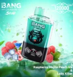 Bang Leader Stoll 120Kパフ ラズベリー・モヒート・ピーチ・アイス・レディ・キラー フレーバー - 100vaping