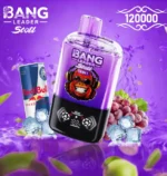 Bang Leader Stoll 120Kパフ レッド・エナジー・グレープ・アイス・フレーバー - 100vaping