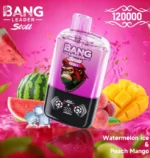 Bang Leader Stoll 120Kパフ スイカ・アイス・ピーチ・マンゴーフレーバー - 100vaping