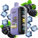 ELF BAR GH23000 23000パフ ブラックアイスフレーバー 使い捨てベイプ - 100vaping