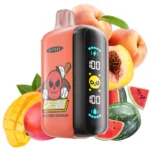 ELF BAR GH23000 23000パフ ピーチ・マンゴー・スイカ風味 使い捨てベイプ - 100vaping