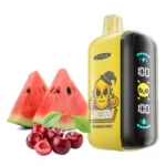 ELF BAR GH23000 23000パフ スイカ・チェリー味 使い捨てベイプ - 100vaping