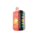 ELF BAR RAYA D3 25000パフ スイカアイス 使い捨てベイプ - 100vaping