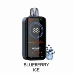 HIFANCY ラグジュアリーボックス 18000パフ ブルーベリーアイスフレーバー 使い捨てベイプ - 100vaping