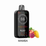 HIFANCY ラグジュアリーボックス 18000パフ マンゴーフレーバー 使い捨てベイプ - 100vaping