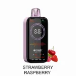 HIFANCY ラグジュアリーボックス 18000パフ ストロベリー・ラズベリーフレーバー 使い捨てベイプ - 100vaping