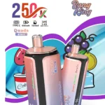 Bang King 250,000パフ 4-in-1 使い捨て型リチャージ可能ベイプ