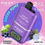 Fizzy Twins 50000 50Kパフ ブルーベリー・ココナッツ＆グレープ・アイス風味 使い捨てベイプ - 100vaping