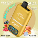 Fizzy Twins 50000 50Kパフ ミックスベリー＆ピーチアイスフレーバー 使い捨てベイプ - 100vaping