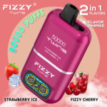Fizzy Twins 50000 50Kパフ ストロベリーアイス＆フィジーチェリーフレーバー 使い捨てベイプ - 100vaping