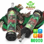QQ Bang シーシャ 80Kパフ ダブルアップルフレーバー 使い捨てベイプ - 100vaping