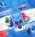 Stagbar Nexus 60Kパフ ブルーベリー・ラズベリー・アイス風味 使い捨てベイプ - 100vaping