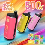 QQ Bang 500K Puffs Lychee Ice Cheesecake Pina Colada Mixed Berry Dragonfruit Banana Cherry Strawberry Watermelon Flavor Disposable Vape - 100vaping