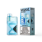 VOZOL NEON 60K Puffs Blue Razz Ice Flavor Disposable Vape - 100vaping