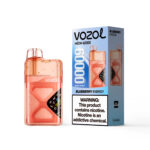 VOZOL NEON 60K Puffs Blueberry Energy Flavor Disposable Vape - 100vaping