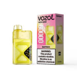 VOZOL NEON 60K Puffs Martinho Flavor Disposable Vape - 100vaping