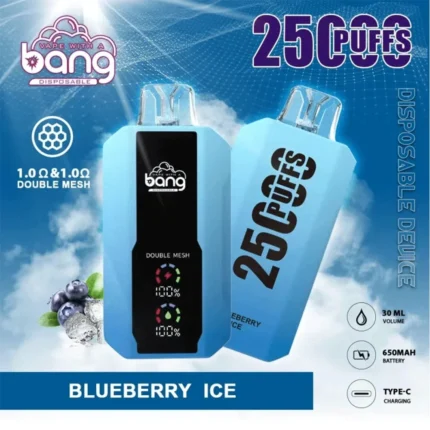 Bang 25Kパフ 使い捨て型リチャージ可能ベイプ – ブルーベリーアイス