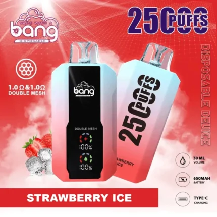 Bang 25Kパフ 使い捨て型リチャージ可能ベイプ – 商品詳細