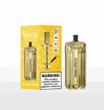Bang E-Shisha Head 42K Puffs Gold LED Display Disposable Vape – Grape Mint & Mint