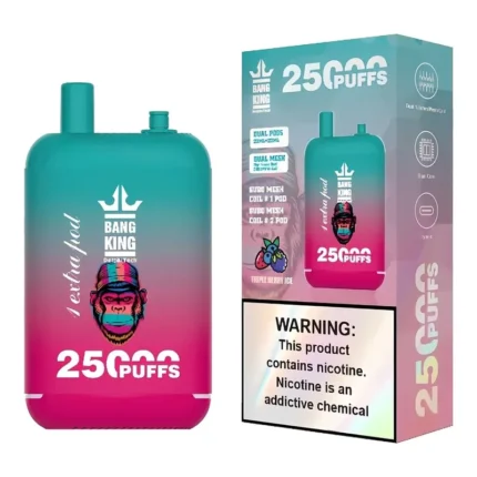 Bang King 25,000パフ 12-in-1 使い捨てベイプ – 商品詳細
