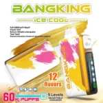 Bang King Ice 60K Puffs Disposable Vape – product view