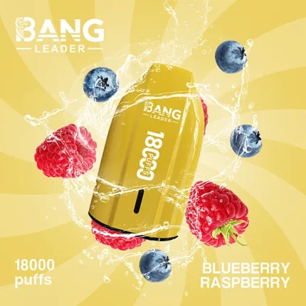 Bang Leader 18K ベイプ 18,000パフ 使い捨てベイプ – ブルーベリー・ラズベリー