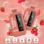 VHILL 20,000パフ スイカ・ラズベリー 使い捨てベイプ